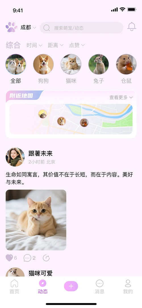 动态预览